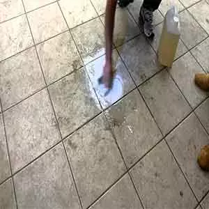 limpa caixa de água Limpeza de estofados em Taubaté